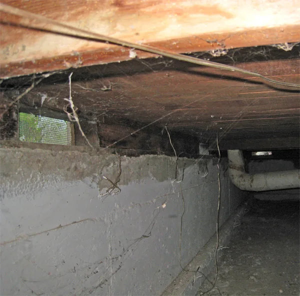Crawlspace Water Removal in a Pittsburgh home