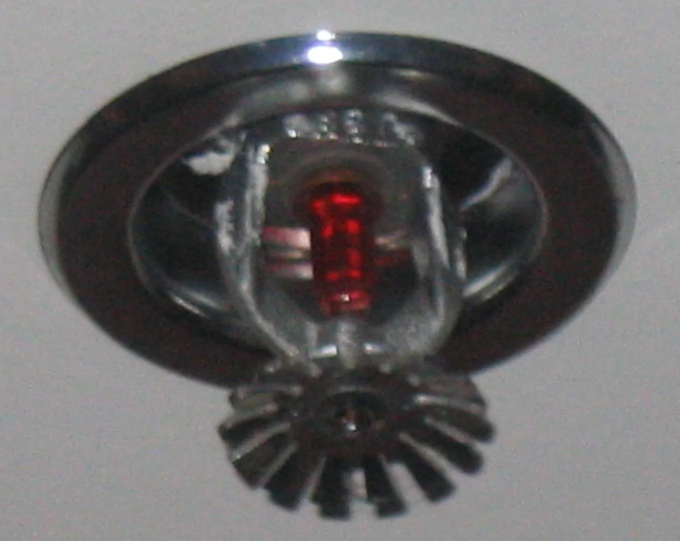 Fire Sprinkler Discharge in a Pittsburgh home