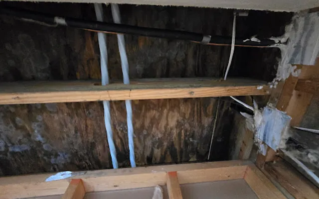 Roof Leak Water Damage in Pittsburgh, PA