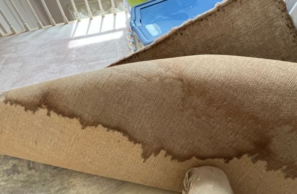 Water Damage, Fire Damage & Mold Remediation Experts in Pittsburgh, Pennsylvania